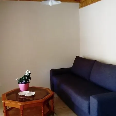 L'hibiscus Holiday home *
